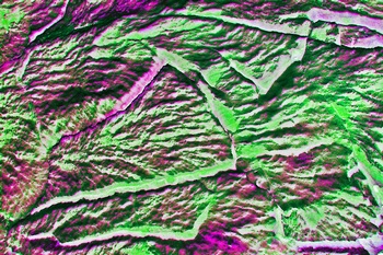 AP 119B1
